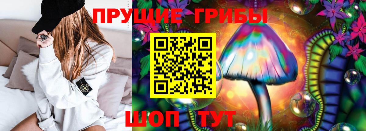 Галлюциногенные грибы Psilocybe  Вход с VPN  Ростов-на-Дону 